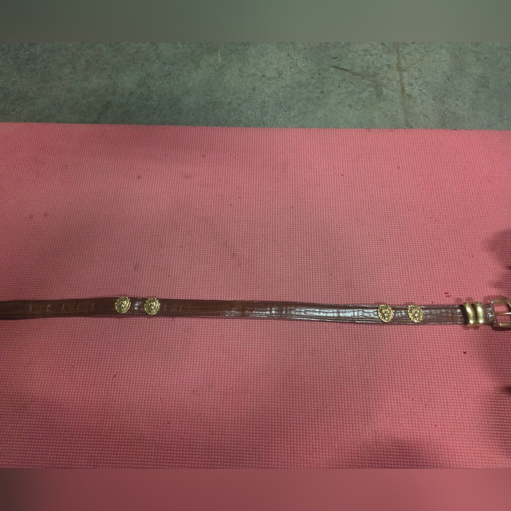 Brown Leather Belt with Gold Accents